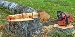 Best Lot and Land Clearing  in Rochester, WI