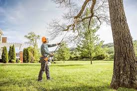 Best Tree Disease Treatment  in Rochester, WI