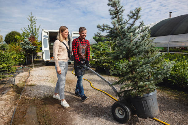 How Our Tree Care Process Works  in  Rochester, WI
